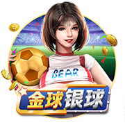 成年人在线观看视频正式版